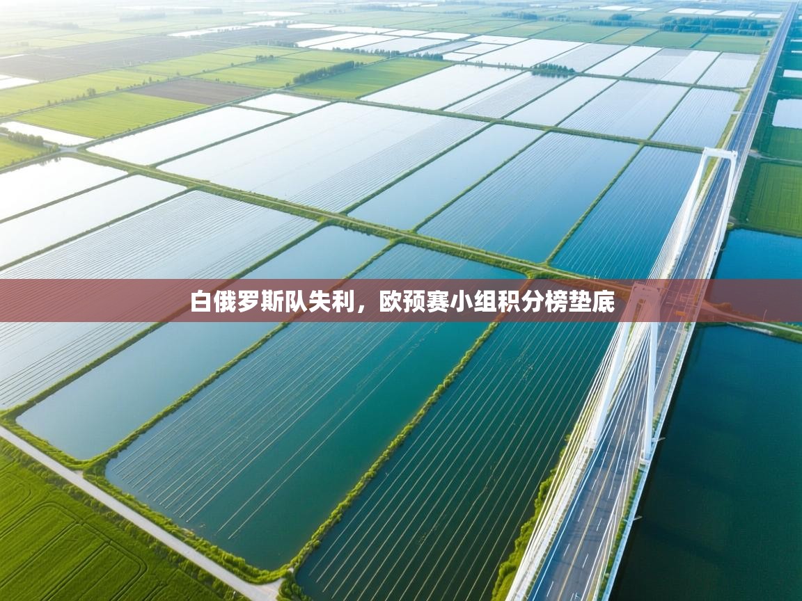 白俄罗斯队失利,欧预赛小组积分榜垫底 第2张