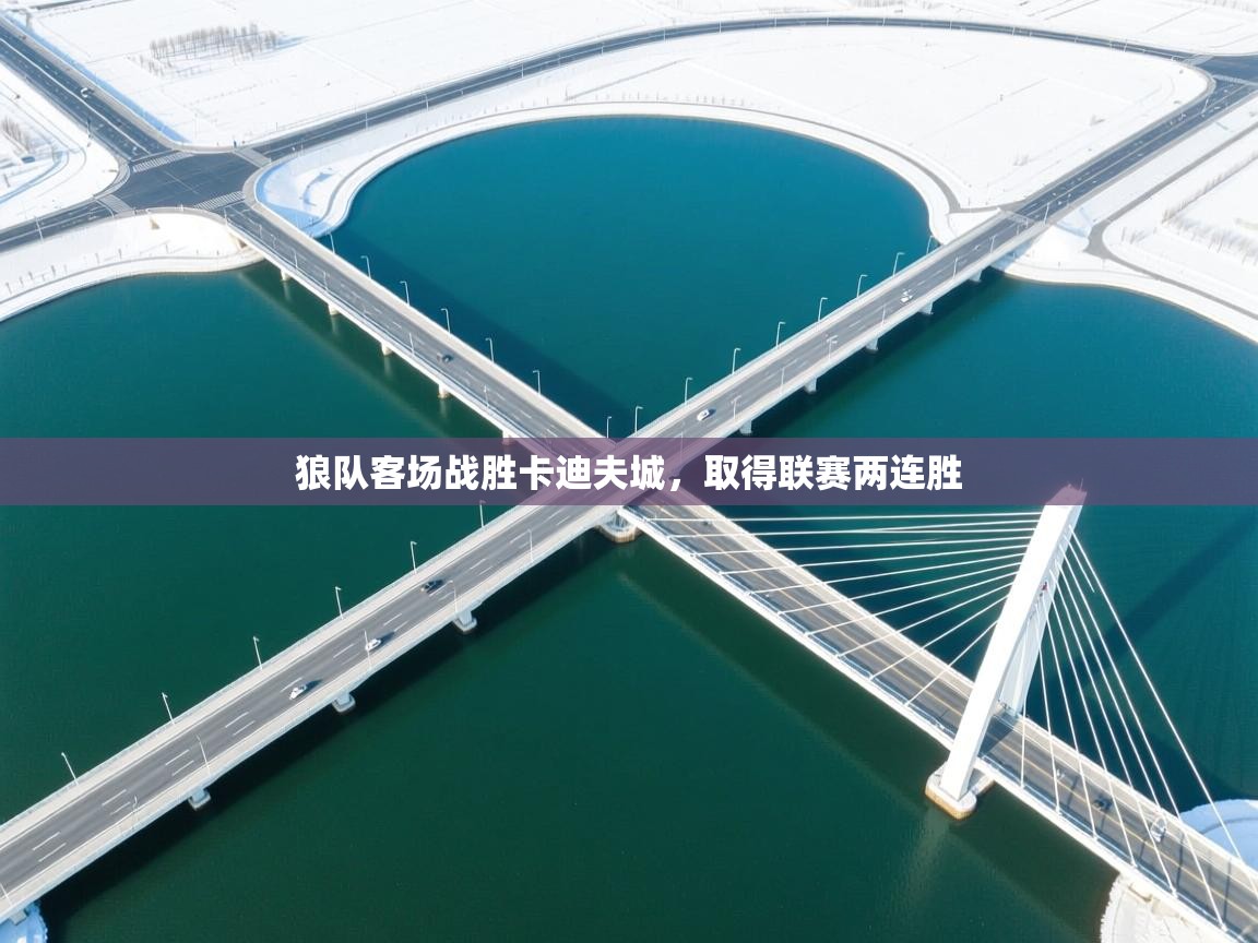 狼队客场战胜卡迪夫城,取得联赛两连胜 第2张