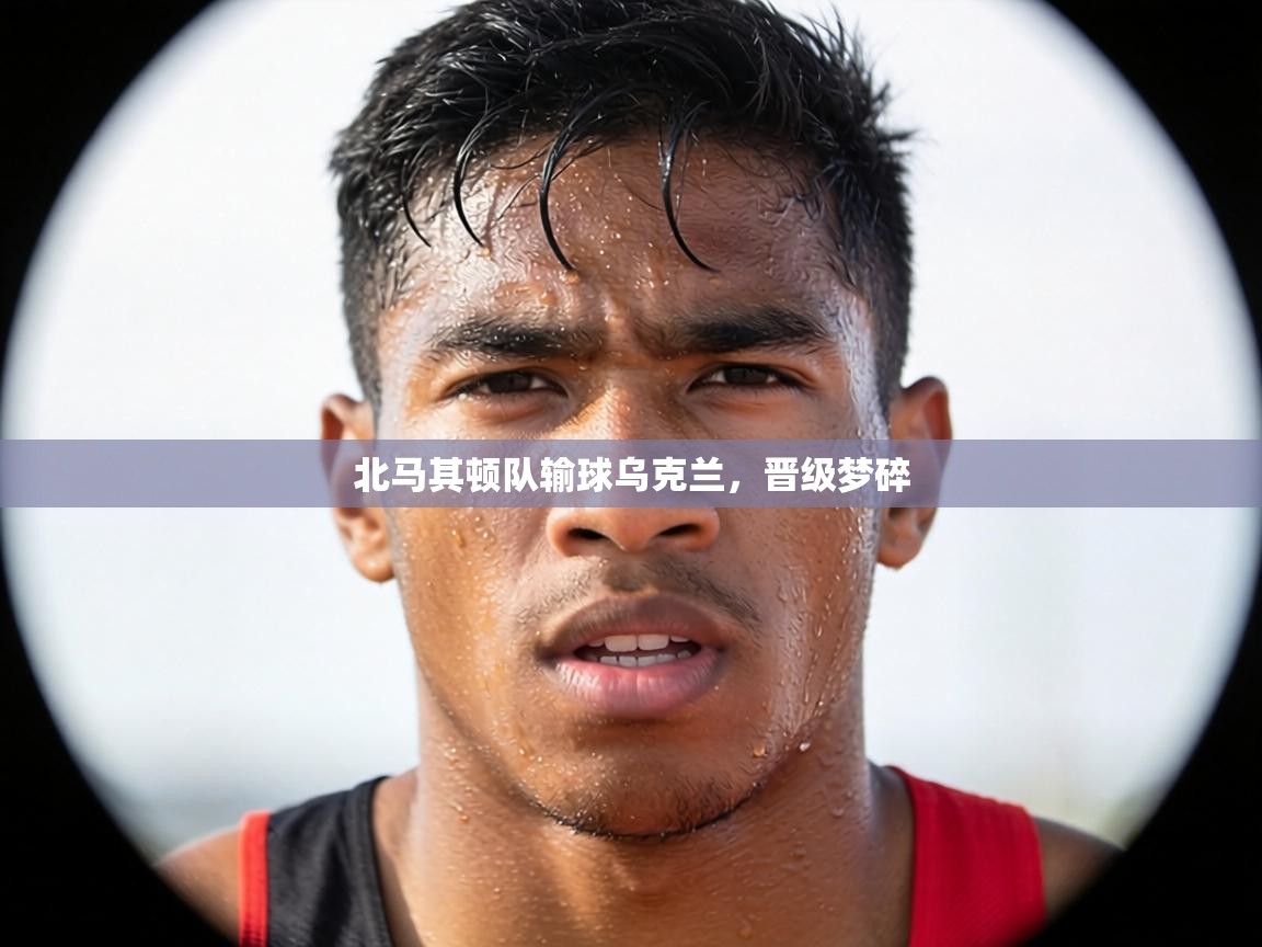 北马其顿队输球乌克兰，晋级梦碎